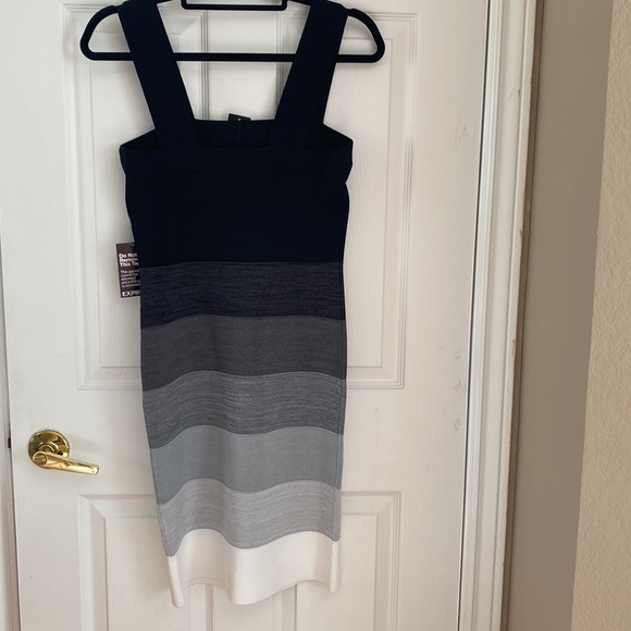 NWT Express Dresss - Picture 4 of 4
